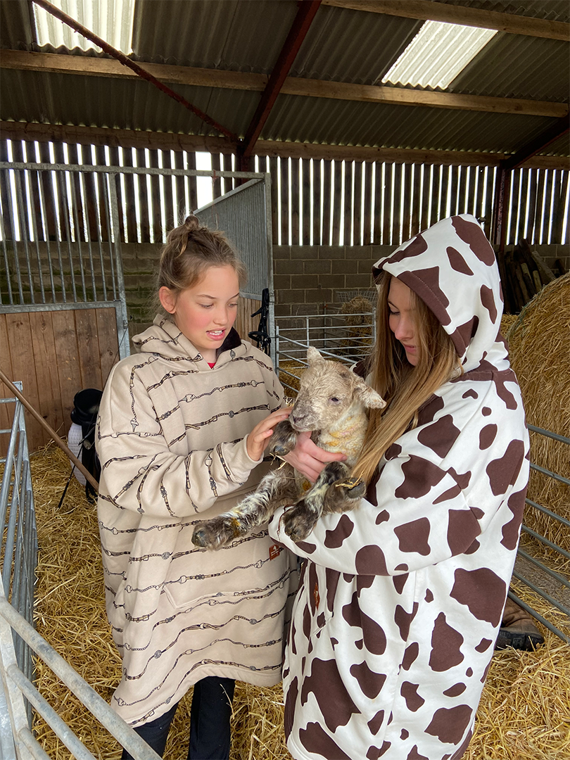 Leisure Lounge Wear- Oversized Blanket Hoodie - Skewbald - Piebald-Cow