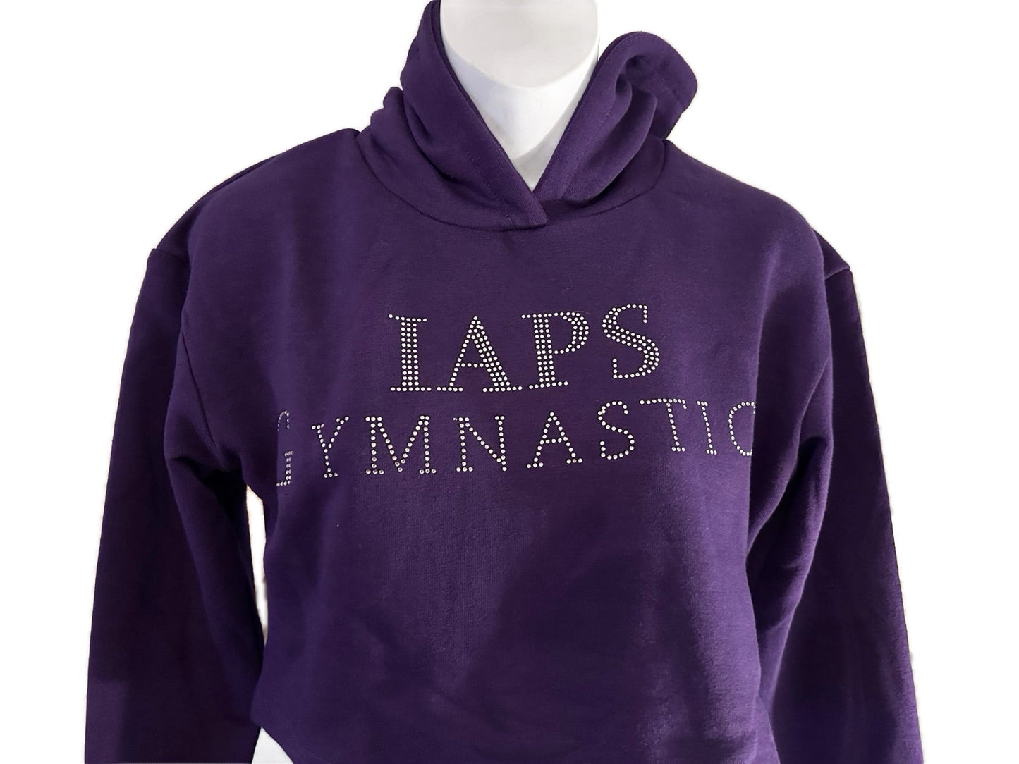2023 IAPS National Gymnastic Finals Crop Hoodie