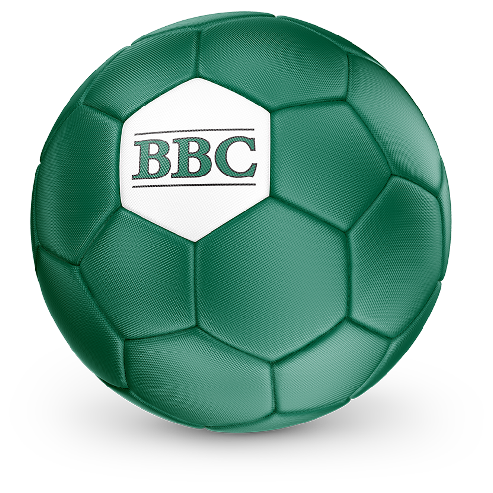 Custom Soccer Balls