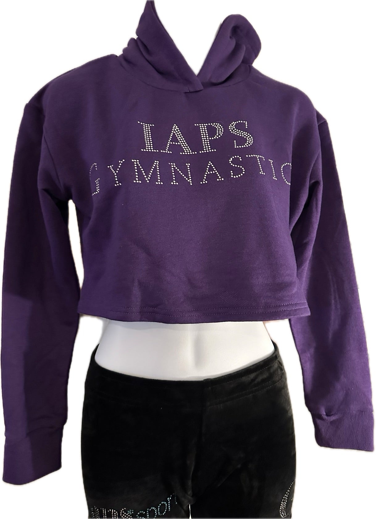 2023 IAPS National Gymnastic Finals Crop Hoodie