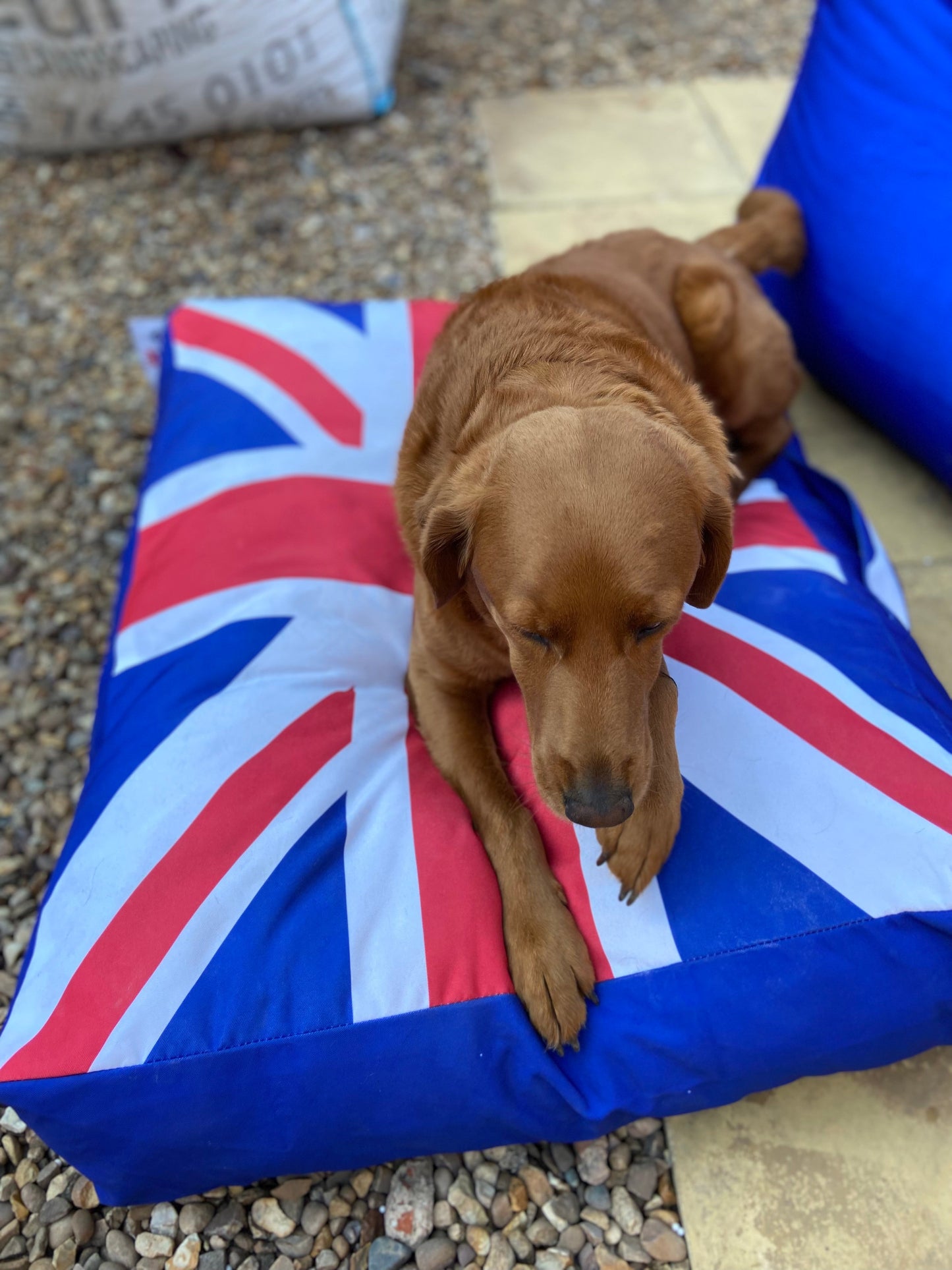 Union Jack Bean bag Chair & Dog Bed