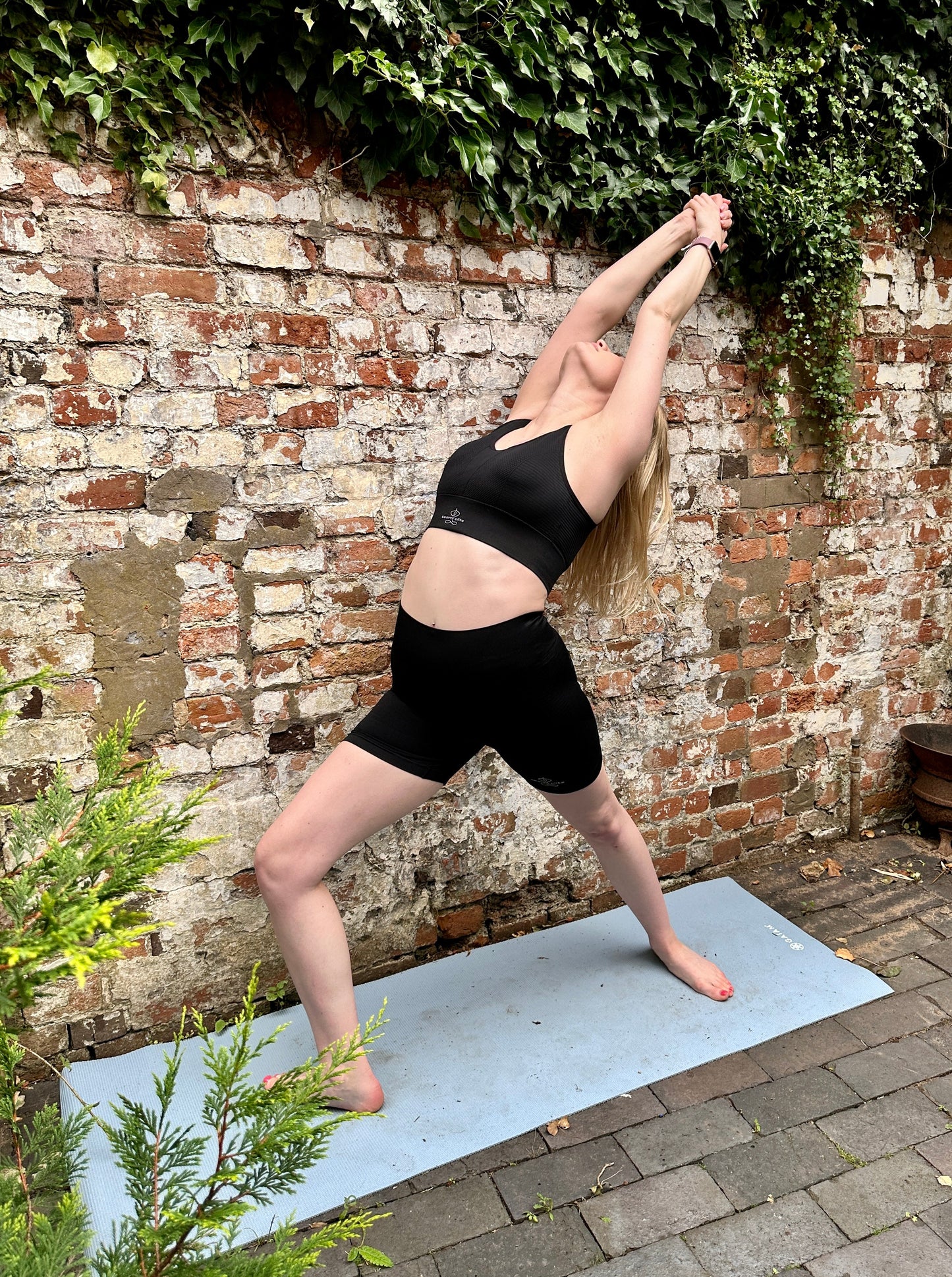 Ananda Gym/Yoga Collection The Bold One! Shorts and gym top Set