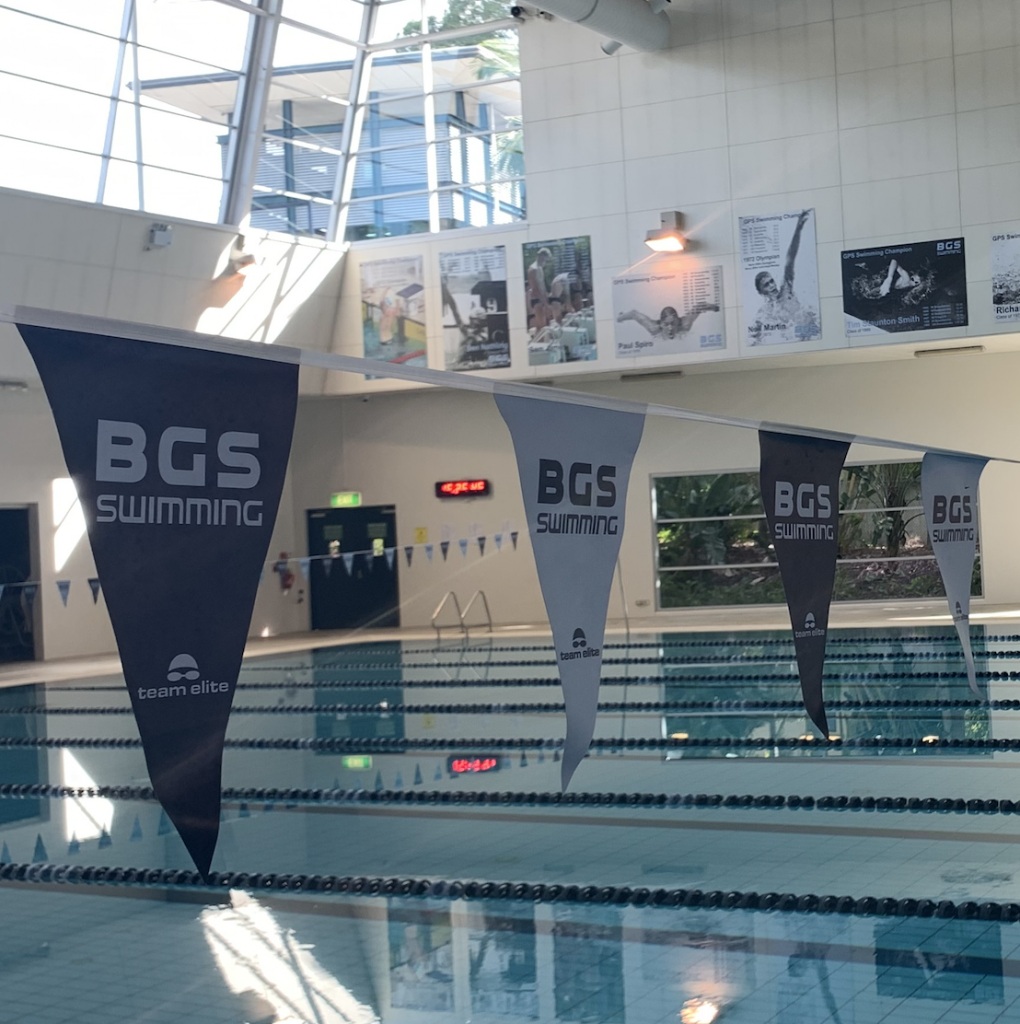 Printed Backstroke Flags