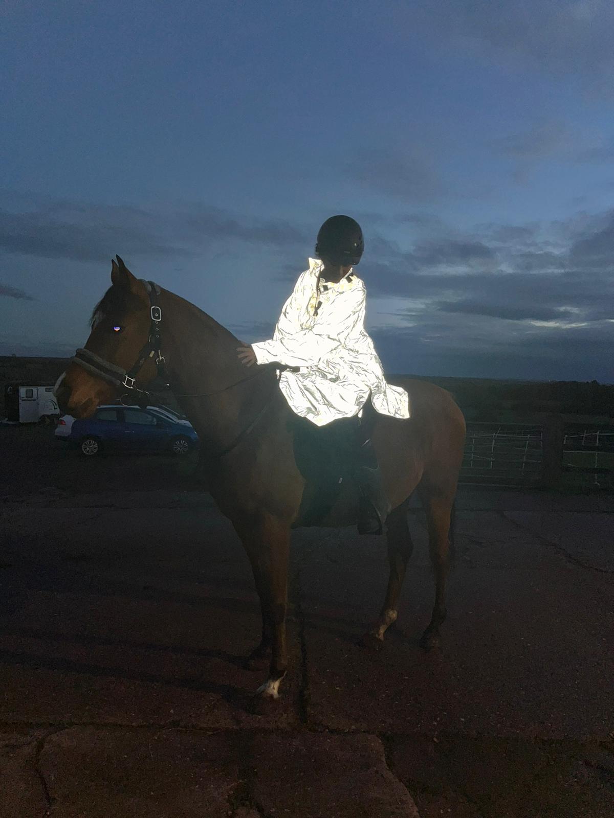 Reflective Poncho