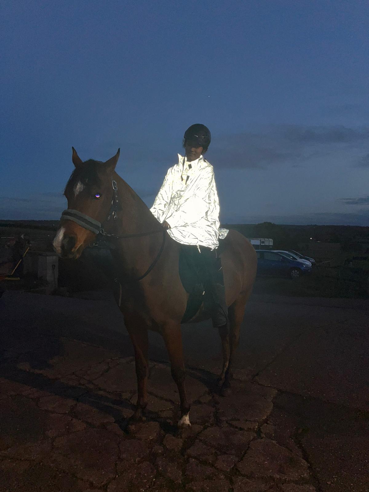 Reflective Poncho