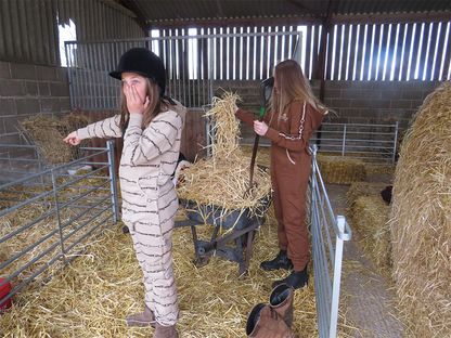 Equestrian Themed  Leisure Lounge  Wear- Palomino Onesie