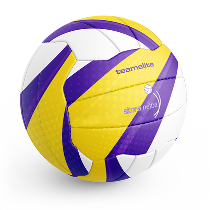 Custom Netball Balls