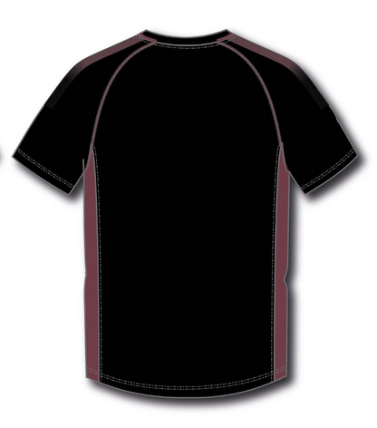 All Saints School PE T-Shirt